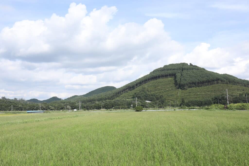 七ツ森西側の田園地帯