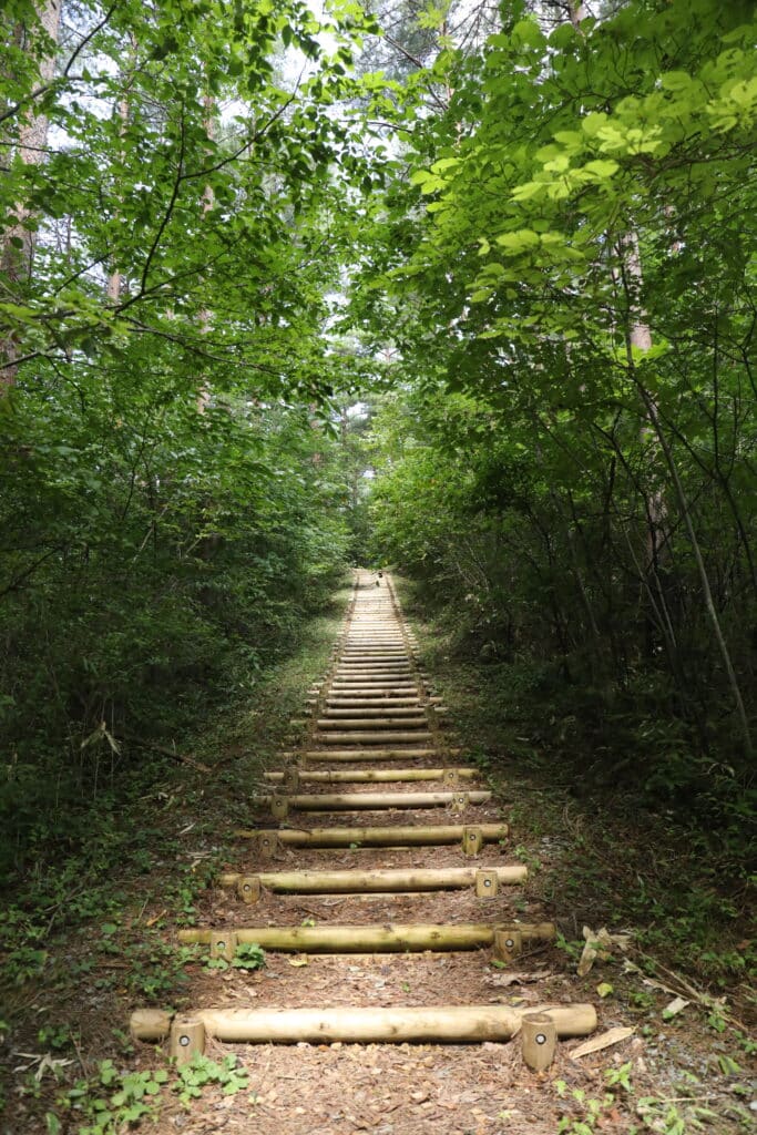 生森　鉢森　生森から石倉森への遊歩道