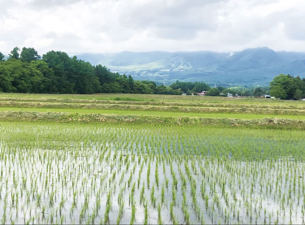 葛根田　長山　田園風景