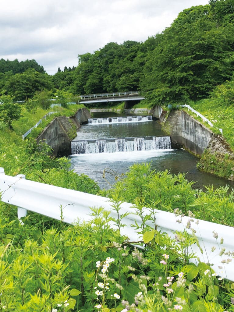 上長山小学校　野の香までの道中