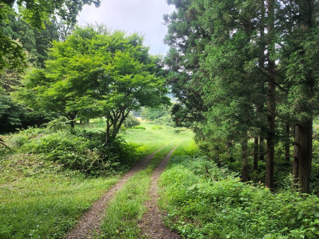 山頂からの下り道