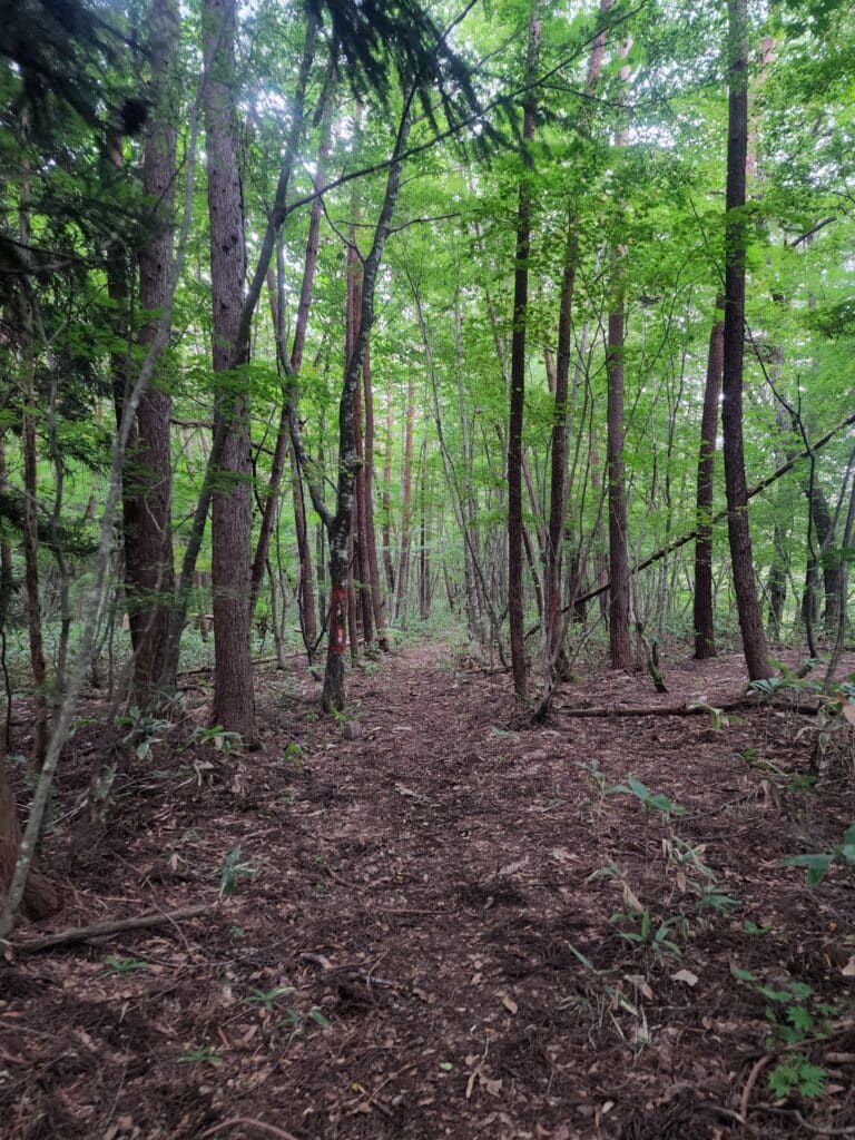 女助山　登山口