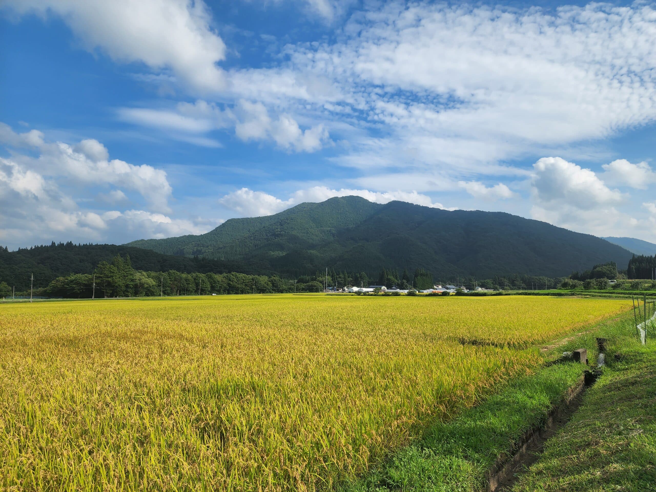 南畑からの女助山