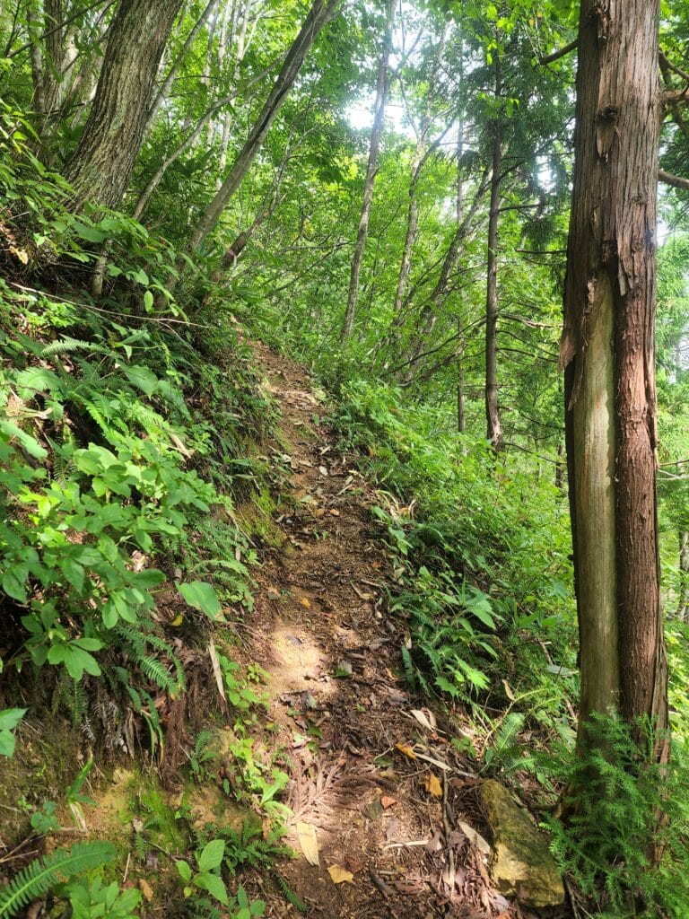 男助山急登箇所