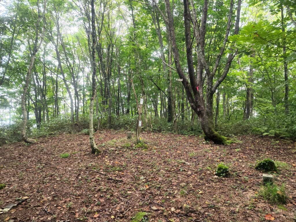 男助山山頂