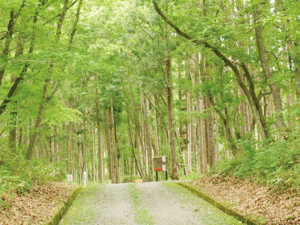 矢櫃公園_園内森林浴