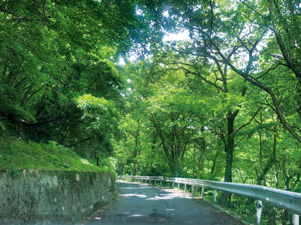 駐車場から夕滝までの道中